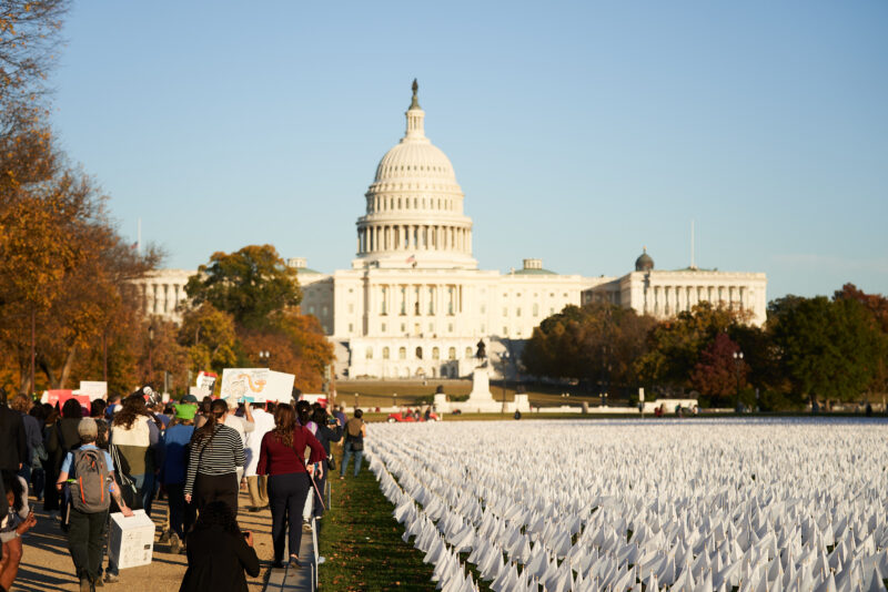 capitol with flags