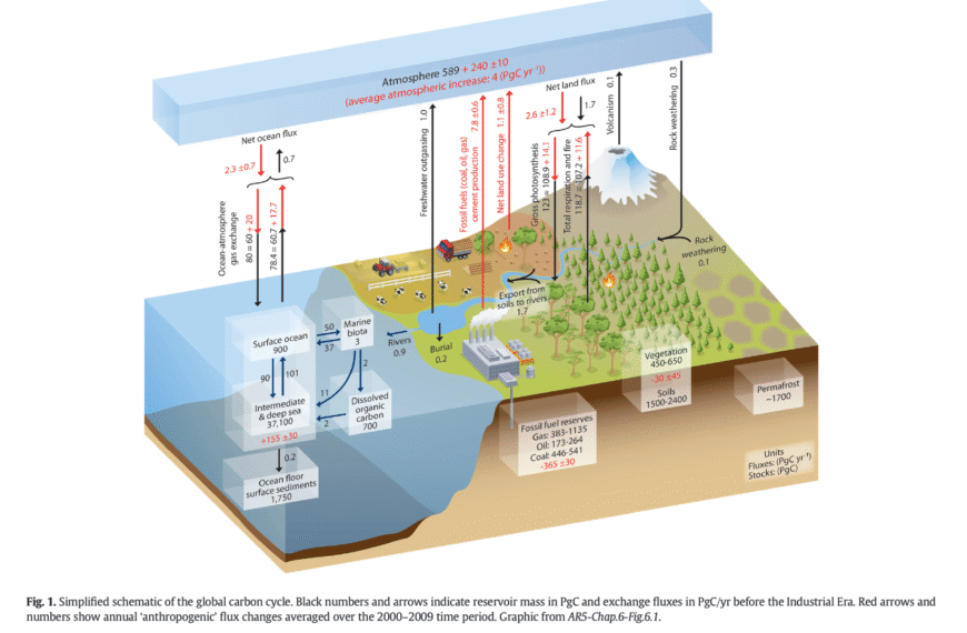 Scrutinizing the Carbon Cycle and CO2 residence time in the atmosphere: Hermann Harde asserts excess CO2 will resolve rapidly