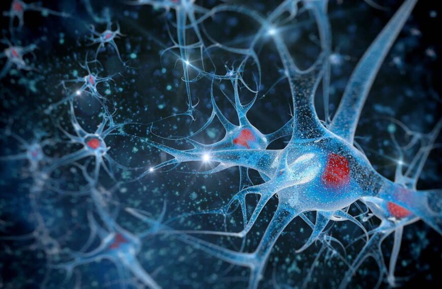 Retracted: A specific amyloid-β protein assembly in the brain impairs memory